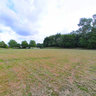 Park of Loos