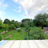 Mr .Y's back yard
