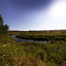 Kozenka river, aug2011