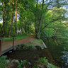 small pond in forest Asch Habichtswald Kassel Nordhessen 4