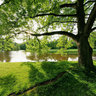 palace garden Karlsaue Kassel Nordhessen