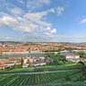 Würzburg Marienberg Fürstengarten 2011