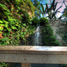 Botanical Center