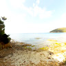Scarlino - Spiaggia di Cala Violina -