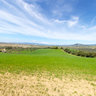 Panorama collina Az. Falconi