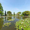 Valeggio Sul Mincio-Sigurtà park-water gardens-
