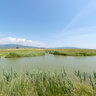 Castiglione della Pescaia-Diaccia Botrona-Reserve