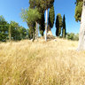 Monteaperti battle hill