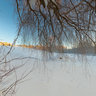 Winter in Tallinn