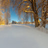 Winter in Tallinn