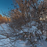 Winter in Tallinn