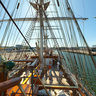The full rigged ship Christian Radich