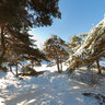 Winter in Tallinn