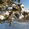 Winter in Tallinn