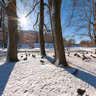 Toompark
