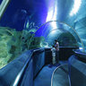 Aquarium Klcc