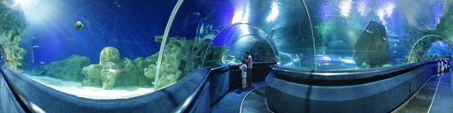 Klcc Aqarium