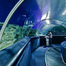 Klcc Aqarium