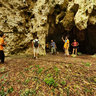 Asicen Forest Walk Mare Loyalty Islands