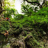 Pethoen Cave Mare Loyalty Islands