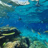 Pontoon New Caledonia Coral Reef