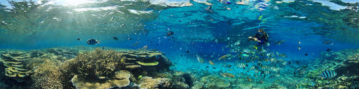 Pontoon New Caledonia Coral Reef