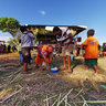 Ouvea Walei Yam Festival