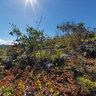 Anchorage New Caledonia Carenage