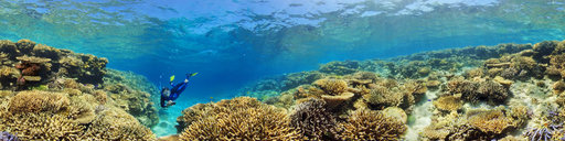 Ilot Maitre New Caledonia Coral Reef Reserve