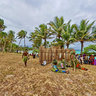 Lifou Missionary Arrival