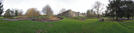 Bute Park