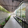 Hongkong Cafe Entrance