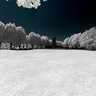 Giardini Reali, infrared panorama