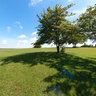 Mitchell Airport Park