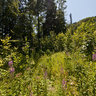 View from Bruenig-Pass to Lungern