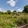 The Walled Garden, Brockwell Park