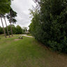 Crystal Palace Park - Icthyosaurs