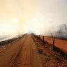 Wildfire