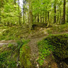 Creek at Schelmenklinge