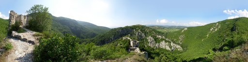 Sokograd
