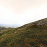 Mt Mansfield Profanity summer