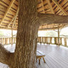 Burlington Bike Path Oakledge Park Tree House