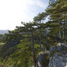 View from the rock Hausstein - Muggendorf - Austria