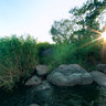 The river 