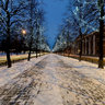 Пр-т Ленина, новогодняя аллея