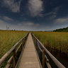 Massaciuccoli's Lake