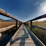 Oasi Lipu Lake of Massaciuccoli