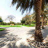 Dubai Creek Park