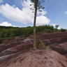 Cheltenham Badlands in Summer