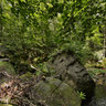 Gottleuba - Forellensteig